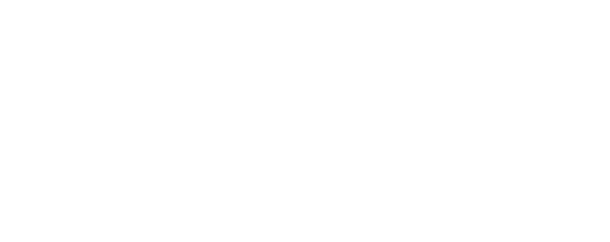 ANNUAL REPORT